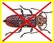 Traité Anti-Insectes Capricornes Etc...